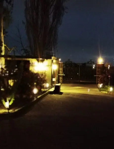 Garden spike lights and path lighting at night