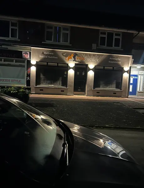 Shopfront with downlights installed above the windows at night